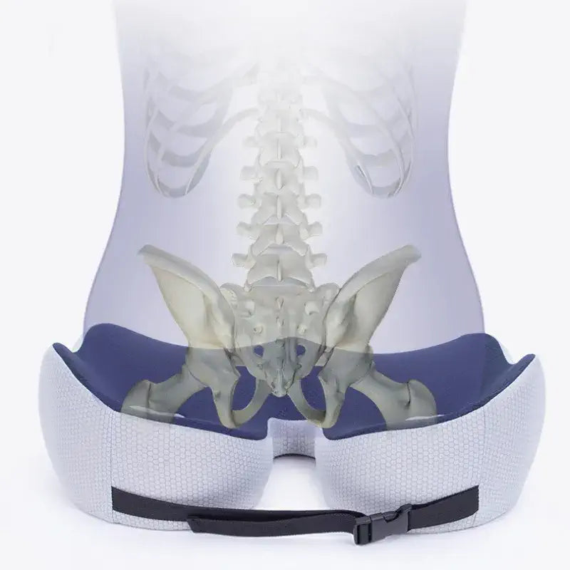 Coussin orthopédique fessier
